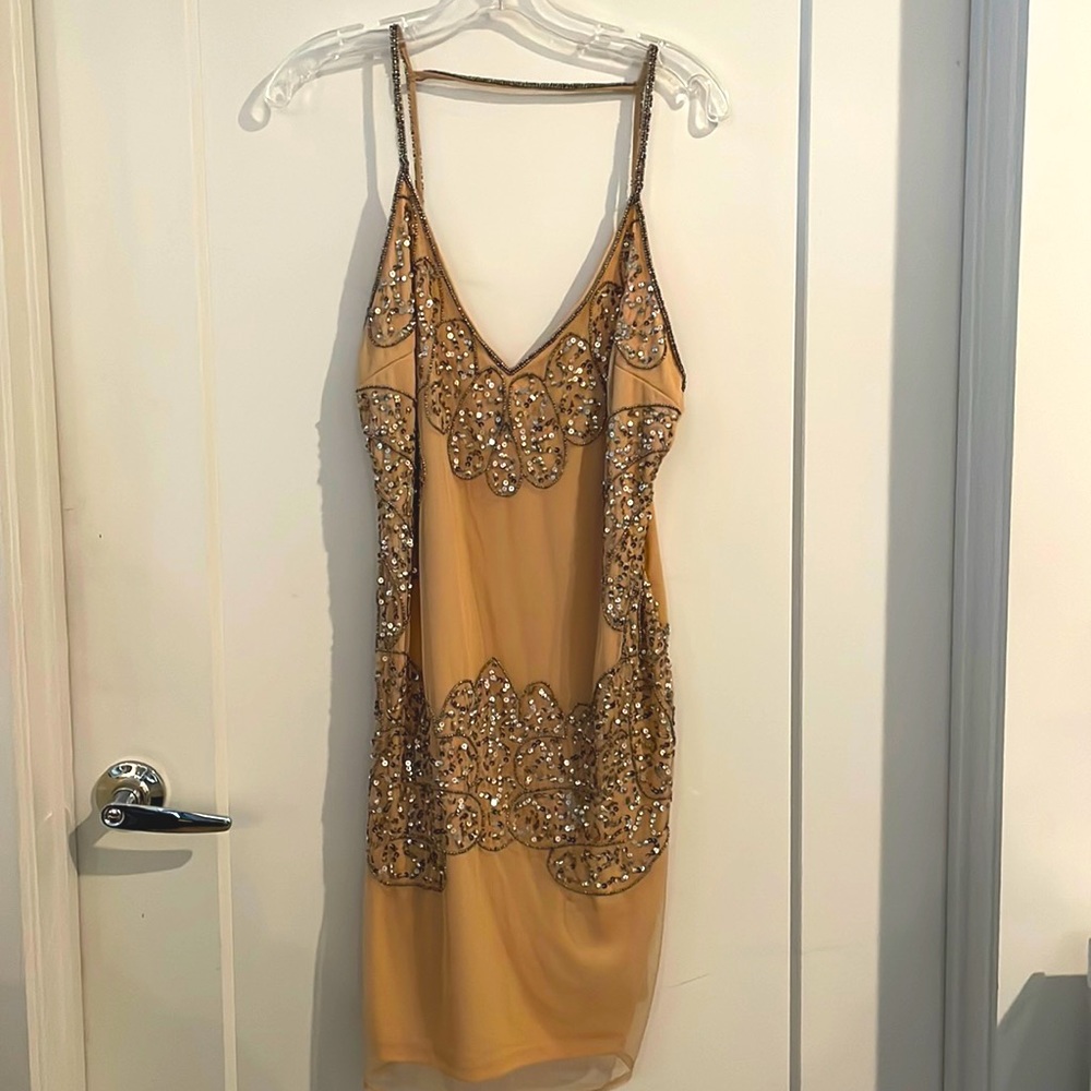Soft Beaded 1920s Style Flapper Dress